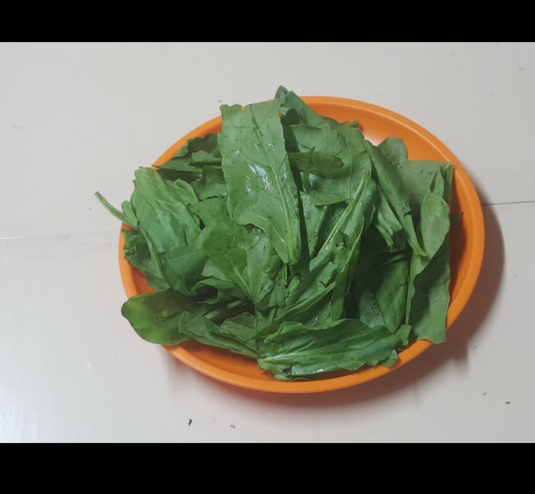 Palak or Spinach
